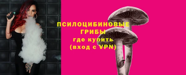 дурь Нефтегорск