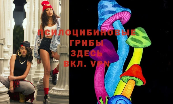 дурь Нефтегорск