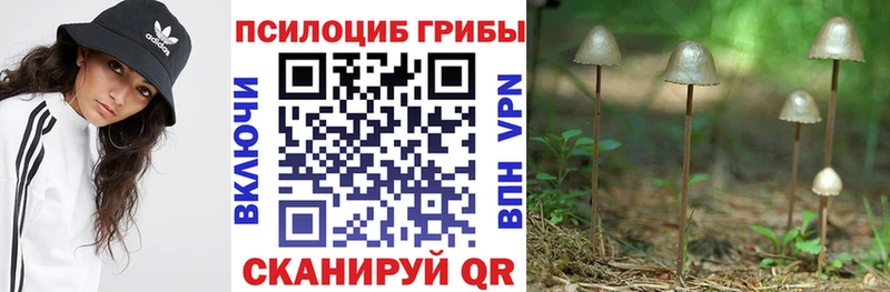 где купить наркоту  Ликино-Дулёво  Псилоцибиновые грибы Psilocybe 